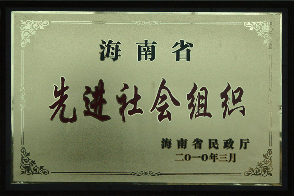 先进社会组织